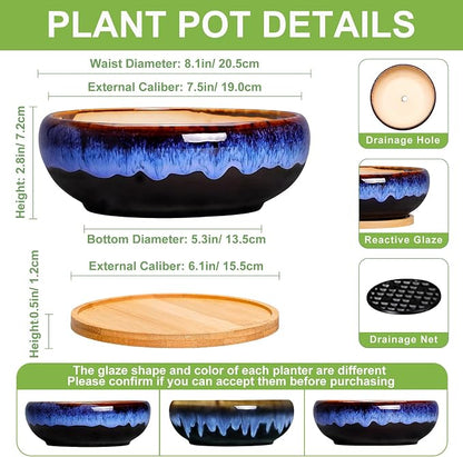 SQOWL 7 Inch Round Ceramic Succulent Planter Pot Drip Glazed Shallow Planter with Drainage Bamboo Tray for Indoor Plants