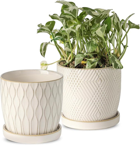 Nihow Ceramic Plant Pots with Drainage Hole & Saucer, 4.75 Inch, White-3 | Small,Embossed Design, For Succulent, Cactus, Little Snake, Indoor Plants