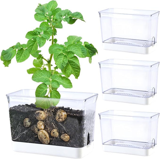 Oliz 4pk Self-Watering Windowsill Planters, Clear Plastic w/Drainage Holes | 7.8"x5.4"x4", Rectangular Flower Pots, Plant Growth Observation Box for Kids