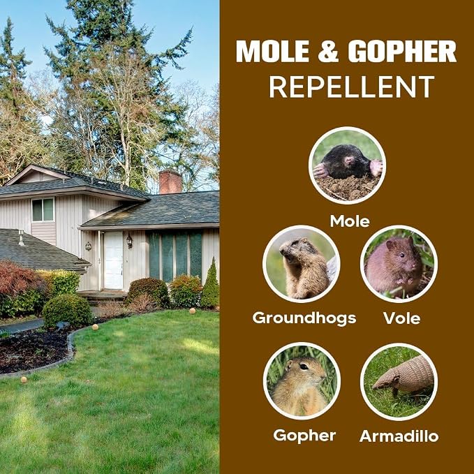 LEBMP Mole Repellent, Gopher Repellent, Groundhogs Repellant Outdoor, Vole Deterrent, Armadillo Repellent for Lawns, Keep Mole Out of Yard, Get Rid of Gophers, Covers Up to 120 Sq Ft-8Pcs