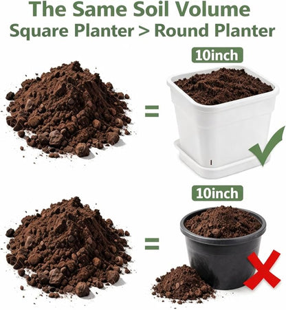 6 Pack 6/8/10 Inch Square Plant Pots with Saucers - 24-Strip Airflow Drainage for Root Health - Heavy Duty 5mm Thick White Plastic Orchid Planters for Indoor Outdoor Flowers, Herbs & Succulents