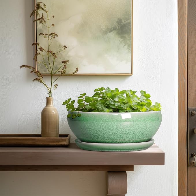 SQOWL Bonsai Pots - 10 Inch Ceramic Succulent Pots with Drainage Hole and Saucer, Shallow Planter for Indoor Plants Flowers, Round Planter Bowl, Living Room Decor, Plant Lover Gifts, Green