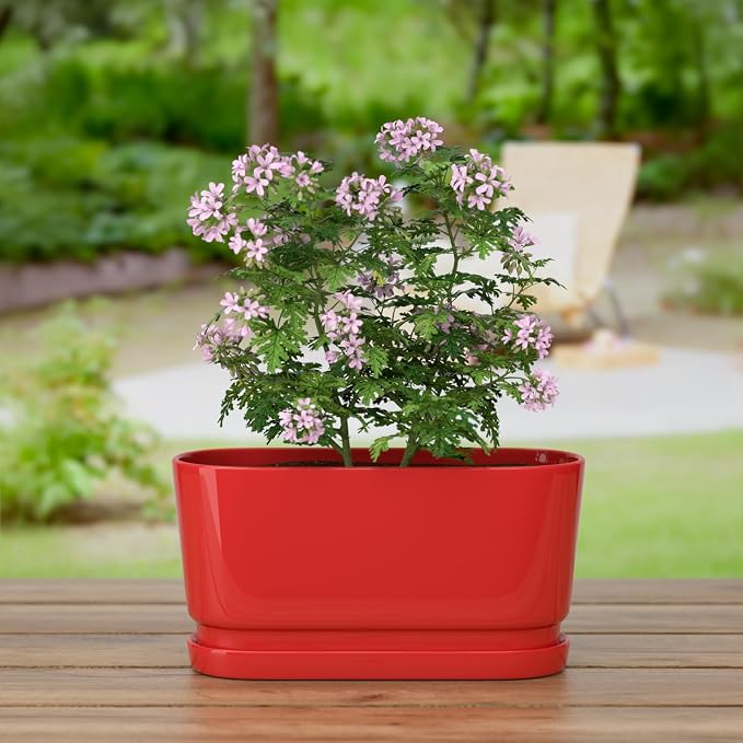 13" Rectangular Ceramic Planter with Drainage and Saucer, Red | Indoor Outdoor Use, 13"L x 5.5"W x 6.3"H, Modern Home Decor, Window Box Planter, Red Glossy Finish