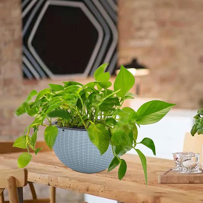 Vencer 11 Inch Round Resin Rattan Hanging Planters,Light Blue,VF-A15-B | Self Watering,Drain Hole,Metal Chain,Water Indicator,Indoor Outdoor