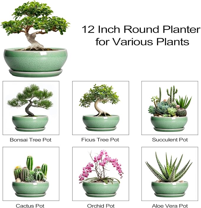 SQOWL Succulent Planter 12 Inch - Ceramic Bonsai Pots with Drainage Hole and Saucer, Large Shallow Planter, Bowl Round Planter for Indoor Outdoor Plants Flower, Room Decor, Birthday Gifts, Green