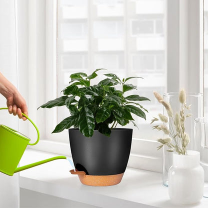 GARDIFE Plant Pots Set of 2 Pack 8 inch,Planters for Indoor Plants with Drainage Holes, Modern Decorative Flower Pots for All House Plants, Flowers, Black&Brown