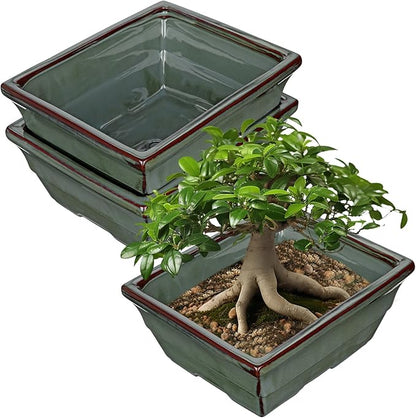 Set of 2 Large Green Glazed Ceramic Bonsai Pots, 10" Rectangular Bonsai Planters Pots with Drainage Hole for Indoor/Outdoor Plants, Bonzie Tree Pot for Succulents, Cacti, Orchids, Herbs, Spider Plants