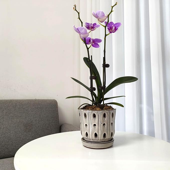 Orchid Pots 4.9 inch Ceramic Orchid Pots with Holes Set of 2 (mossgreen+White)