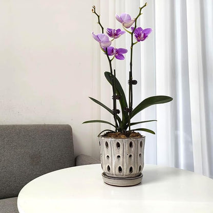 Orchid Pots 4.9 inch Ceramic Orchid Pots with Holes Set of 2 (mossgreen+White)