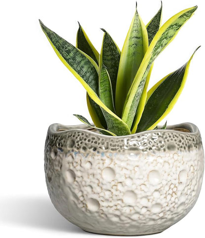 Ceramic Flower Pots - 8 Inch Plant Pots for Indoor Outdoor, Unique Round Planter with Drainage Hole and Plug, Decorative Ceramic Planter, Room Decor, House Warming Gifts, Beige-Grey