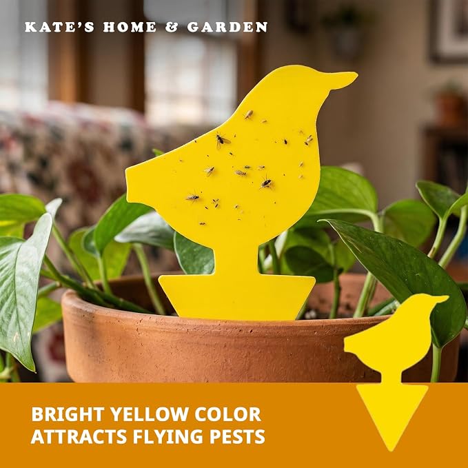 Kate's Home & Garden 60 Count Fruit Fly Traps for Indoors and House. Yellow Sticky Trap for Gnats, Mosquitos, Plants, Ants