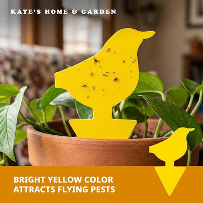 Kate's Home & Garden 60 Count Fruit Fly Traps for Indoors and House. Yellow Sticky Trap for Gnats, Mosquitos, Plants, Ants