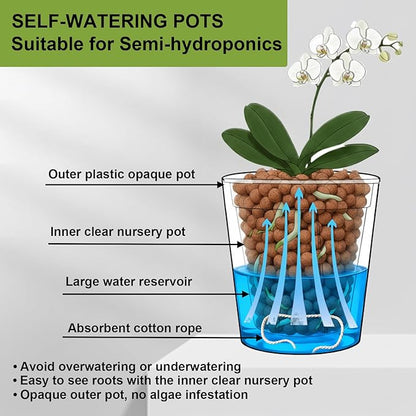 6 Pack of 6in Plastic Cachepot with 6 inch Clear nusery Pot - self Watering Indoor Planter with Drainage for Root Visibility,semi Hydro pots for repotting Monstera,Orchids,Aroid,White