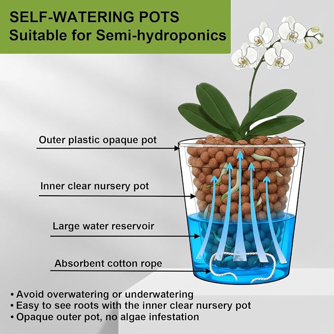 3 Pack of 6in Plastic Cachepot with 6 inch Clear nusery Pot - self Watering Indoor Planter with Drainage for Root Visibility,semi Hydro pots for repotting Orchids,Aroid or Monstera,Black