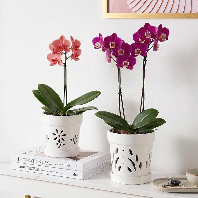 STHIE Small Orchid Pots with Holes 5 Inch & 6 Inch, Ceramic Orchid Pots for Repotting, 2 Pack Breathable Slotted Orchids Planter, White Flower