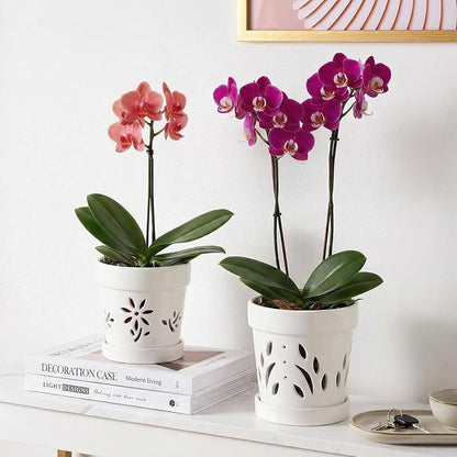 STHIE Small Orchid Pots with Holes 5 Inch & 6 Inch, Ceramic Orchid Pots for Repotting, 2 Pack Breathable Slotted Orchids Planter, White Flower