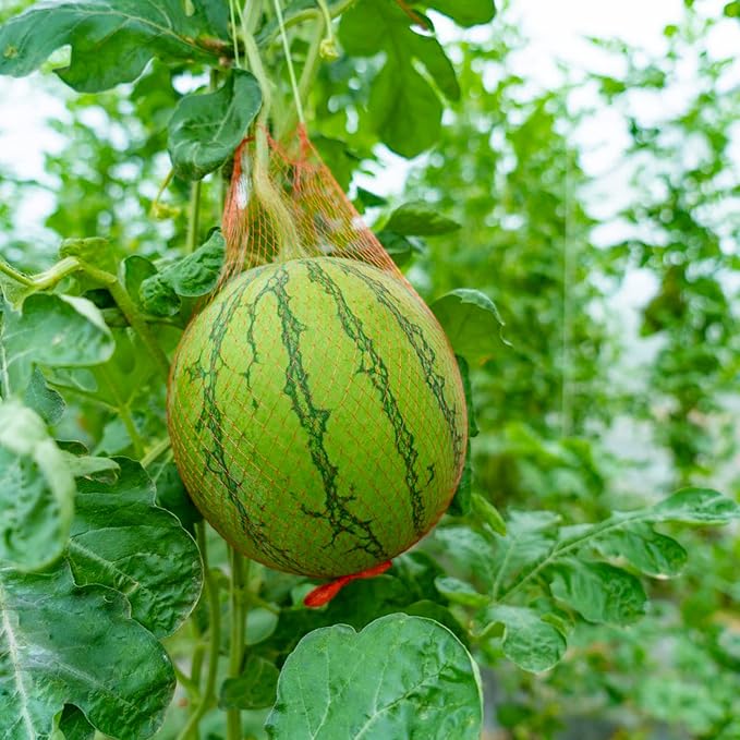 80 Pack Watermelon Nets, 20 Inches Reusable Cantaloupes Mesh Net Garden Cucumbers Growing Supporting Storage Net Bags for Vegetables, Honeydew