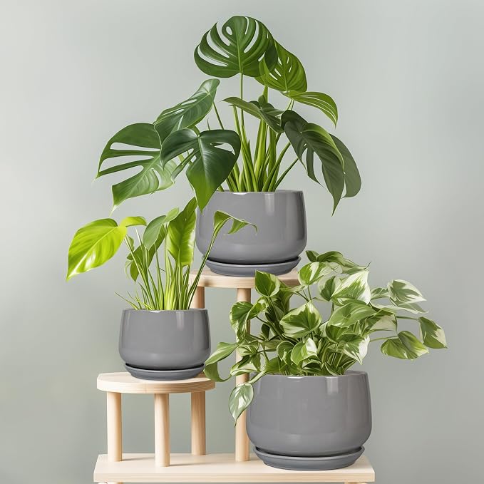 G EPGardening Ceramic Planter 7 Inch, Round, Modern, Grey | with Drainage, Ceramic Tray Included, Indoor Use, Flower & Home Decor