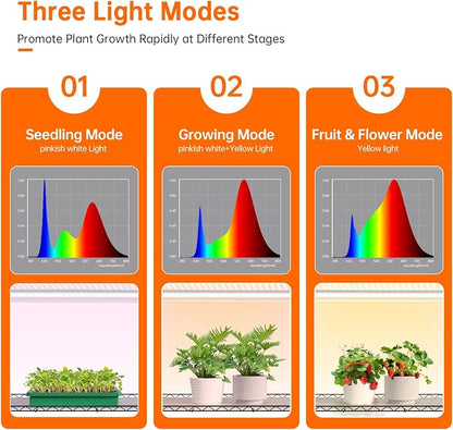 Bstrip Indoor Greenhouse with Grow Light, Indoor Greenhouse Cabinet with 3 Pack Full Spectrum Plant Lights, 3 Color Modes, Grow Tent Kit for Indoor Plant, Seed Starting, Seed Tray, 35.4"x13.8"x59"
