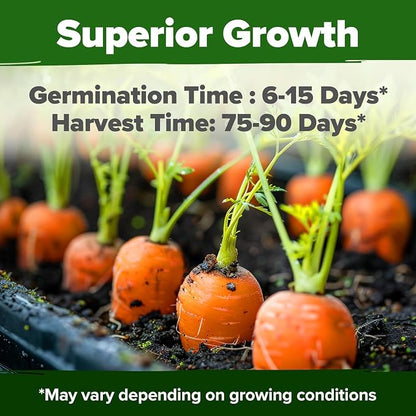 HOME GROWN Tendersweet Carrots Seeds 3000+ Heirloom Non-GMO Seeds for Planting,High Germination,Sweetest Coreless Root Vegetable, Crunchy Summer Garden,Great for Canning (Daucus carota subsp. sativus)