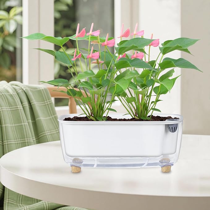 Oliz Self-Watering Planter with Coco Coir, Clear Modern Rectangular Pot | 11.8 * 4.6 inch, Decorative Flower Pot for Indoor Plants, Windowsill Plant Pot with Drainage Holes, African Violets Pots