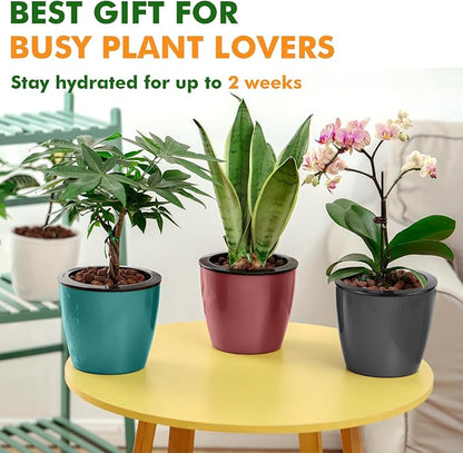 Planterhoma 5 Inch Self Watering Pots for Indoor Plants, 10 Packs African Violet Pots with Indicator, Black Wick Pot with Drainage Holes, Self Watering Planters for Orchid, Devil's Ivy, White