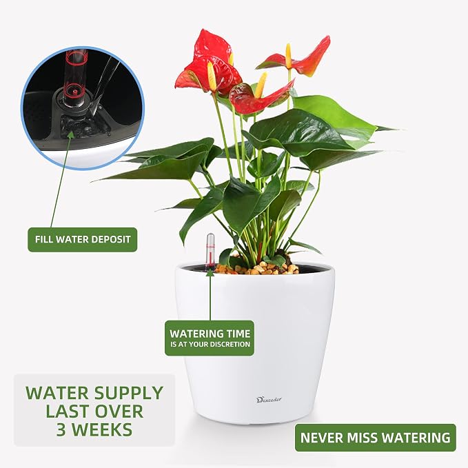 Dexceder 11x10 Self Watering Planter (White High Gloss) | Inner Pot Design, Thickened Table Flower Plant Pot with Water Level Indicator Indoor Outdoor