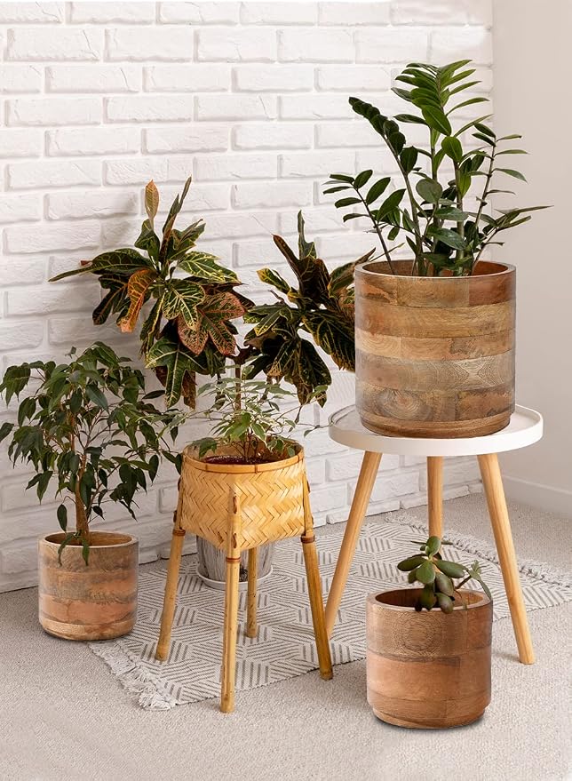 Serene Spaces Living Set of 12 Small Mango Wood Cachepot, Natural Wooden Pot for Faux Flowers & Plants, Potted Indoor Plants, Home, Office, Restaurant Decor, Measures 4.75" Diameter & 4.5" Tall