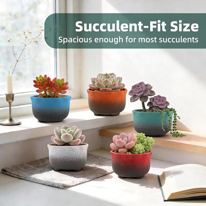 Small Ceramic Garden Pots Succulent Plant Planter Container with Drainage Set of 5 for Home Office Decor