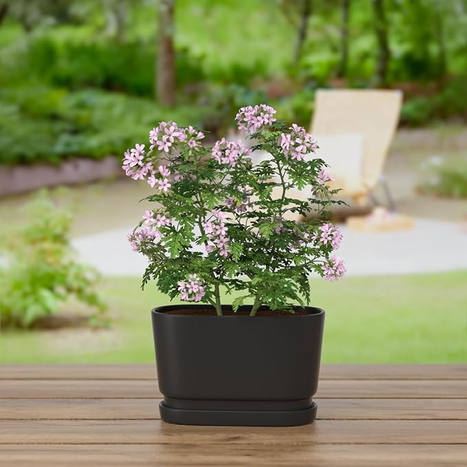 8.9" Rectangular Ceramic Planter with Drainage and Saucer, Black | Indoor Outdoor Use, 8.9"L x 4.5"W x 5.3"H, Modern Home Decor, Window Box Planter, Matte Black