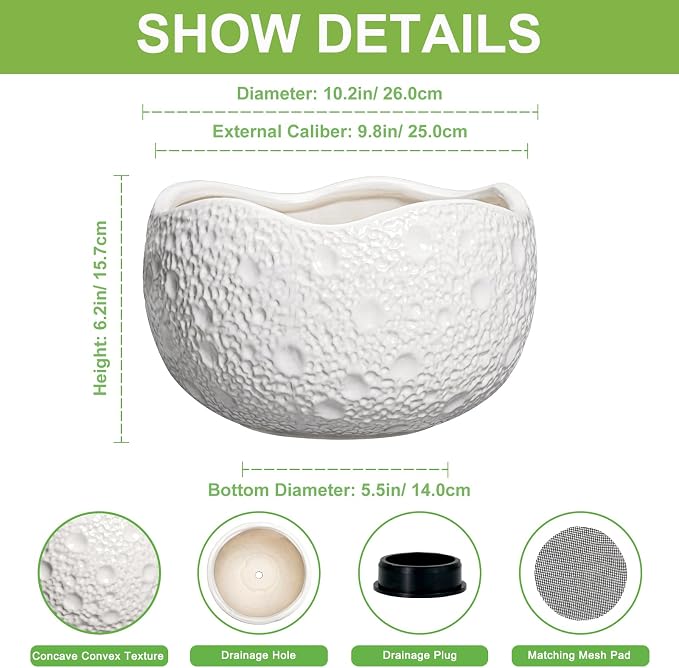 10 Inch Plant Pot - Ceramic Planter for Indoor Outdoor, Round Bonsai Pots, Decorative Flower Pots with Drainage Hole, Modern Unique Planters, House Decor, Home Gifts, White