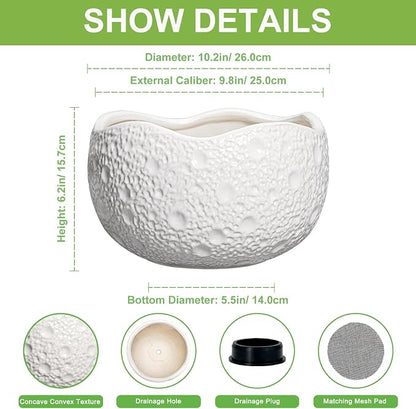 10 Inch Plant Pot - Ceramic Planter for Indoor Outdoor, Round Bonsai Pots, Decorative Flower Pots with Drainage Hole, Modern Unique Planters, House Decor, Home Gifts, White