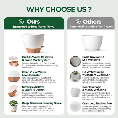 2 Pack 10 Inch Self Watering Pots - Water Level Indicator & Deep Reservoir, Mess-Free Planter for Busy People, Beginners & Gardeners, Fiddle Leaf Fig, Monstera, ZZ Plants, Indoor Outdoor Use (White)