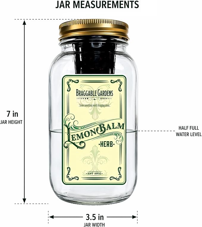 Lemon Balm Indoor Herb Garden Kit – Mason Jar Hydroponic Grow Kit – Windowsill Countertop Herb Planter – Grow Fresh Lemon Balm Indoors