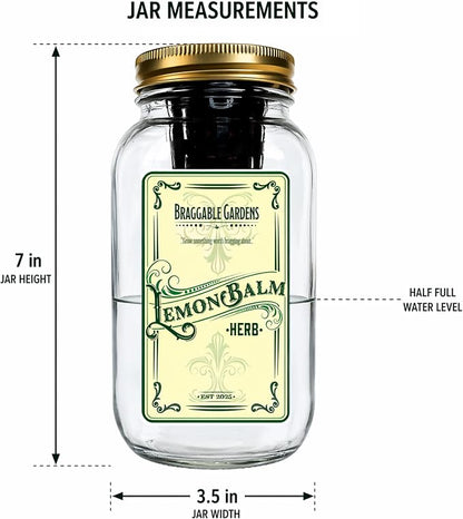 Lemon Balm Indoor Herb Garden Kit – Mason Jar Hydroponic Grow Kit – Windowsill Countertop Herb Planter – Grow Fresh Lemon Balm Indoors