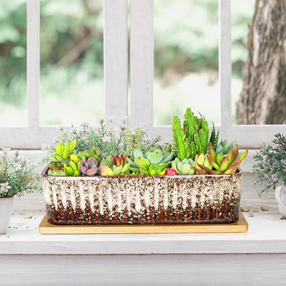 Succulent Pots - 12 Inch Large Succulent Planters with Drainage Tray, Window Sill Planter, Long Rectangle Ceramic Pots for Indoor Cactus Plants Shallow Bonsai Window Box for Home Garden Decor