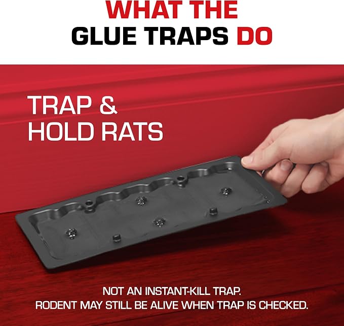 Tomcat Glue Traps Rat Size with Eugenol for Enhanced Stickiness, 24 Traps | Also Captures Mice, Cockroaches, Snakes, Scorpions, and Spiders, Ready-to-Use, 6 Packages with 4 Glue Traps Each