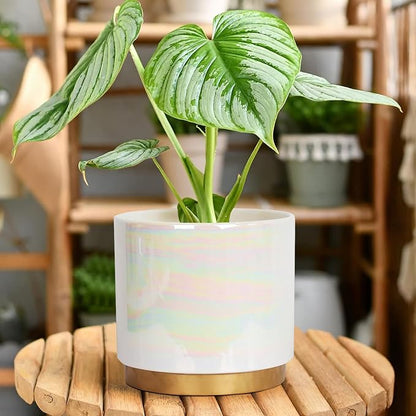 Gepege White Indoor Plant Pots for Plants, Ceramic Planter with Drainage Hole, 7.6 Inch +6 Inch 2pcs Succulent Orchid Flower Pot - Rainbow Pearl Glaze