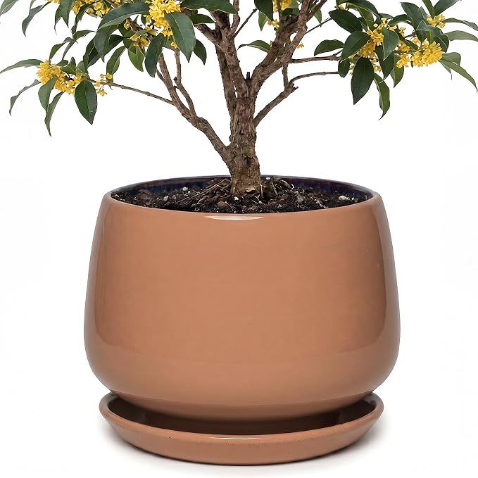 10.3 Inch Ceramic Planter with Saucer,Modern Garden Pots with Drainage Hole Mesh Net, for Indoor Outdoor Use (Reddish Brown)