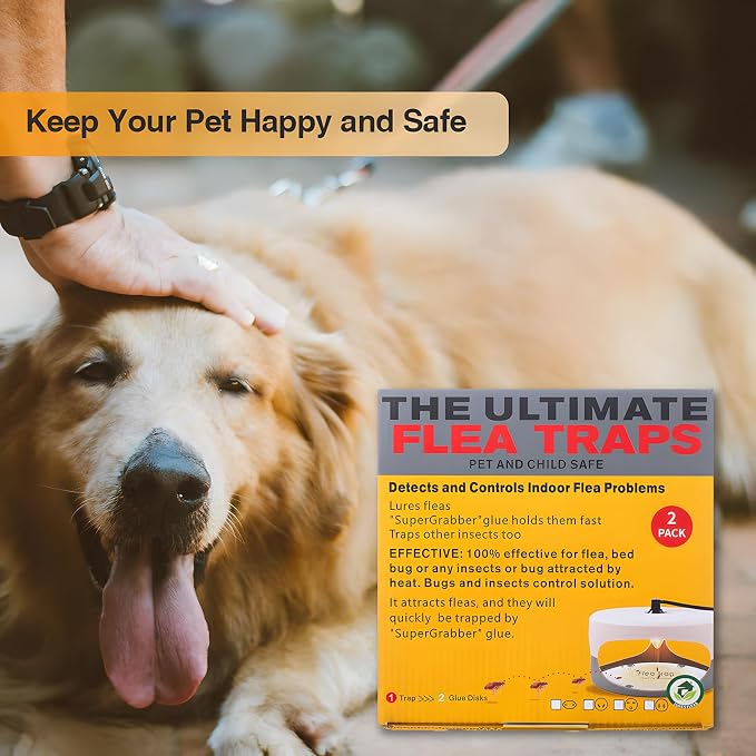 2 Pack Flea Traps for Inside Your Home, Home Flea Killer with 6 Sticky Pads & 6 Bulbs, Bed Bug Trap Pest Control, Non-Toxic & Natural Insect Infestation Treatment Trap for Pets & Kids