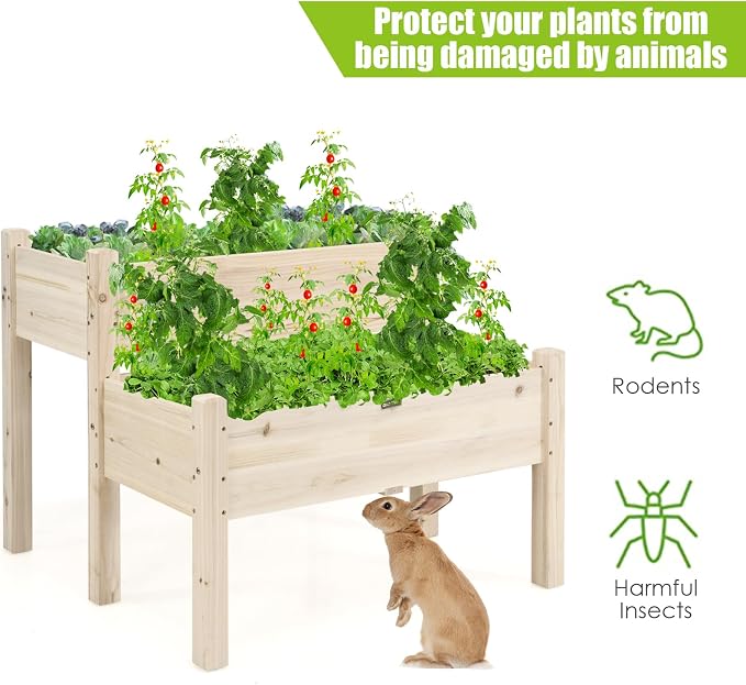 COSTWAY 2-Tier Raised Garden Bed, Sturdy Fir Wood Elevated Planter with Legs for Vegetables, Herbs & Flowers – Indoor & Outdoor Use, Natural Finish