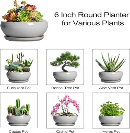 SQOWL Succulent Planters 6 Inch - Ceramic Bonsai Pots with Drainage Hole and Saucer, Shallow Planter for Indoor Plants Outdoor, Round Ceramic Pots for Plants Cactus, Room Decor, Garden Gifts, Gray