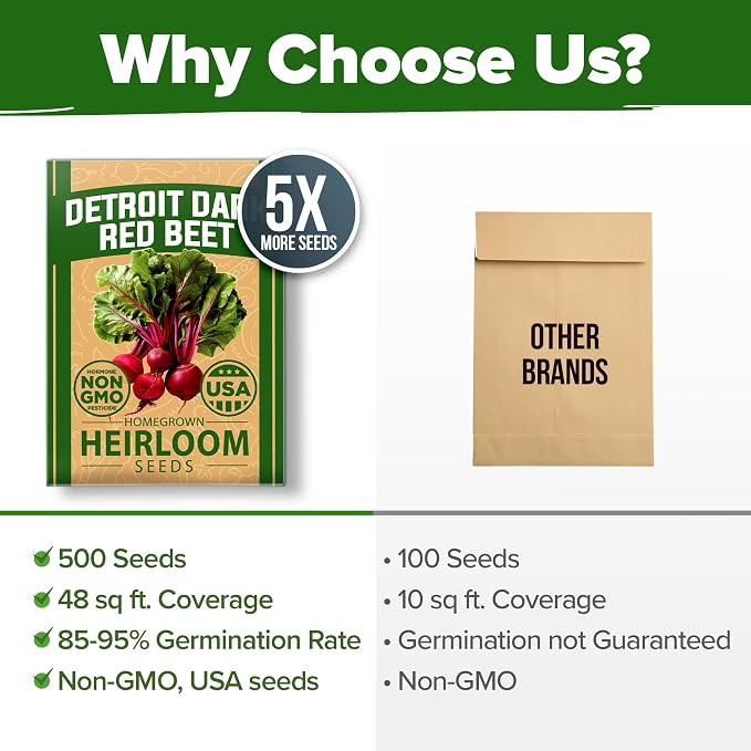 HOME GROWN Detroit Dark Red Beet Seeds 500+ Heirloom Non GMO Seeds for Planting, High Germination, Sweet & Tender Root Vegetable, Edible Greens, Canning, Pickling, Winter Storage (Beta vulgaris)