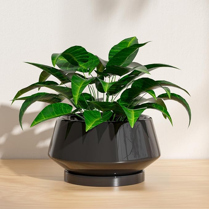 10 Inch Black Ceramic Planter with Drainage Hole and Saucer | Ideal for Indoor and Outdoor Plants, Modern Home Decor, Round, Gloss Black