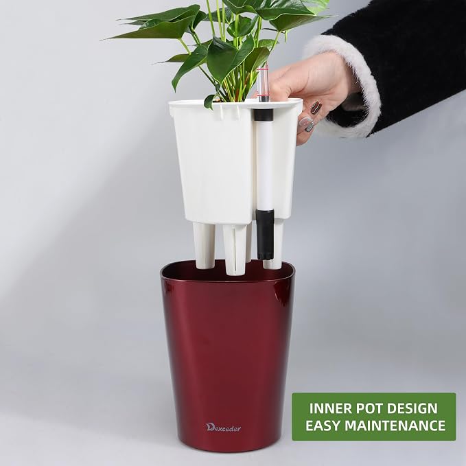 Dexceder 6x7 Self Watering Planter (Wine Red) | High Gloss Table Flower Plant Pot with Water Level Indicator Indoor Outdoor