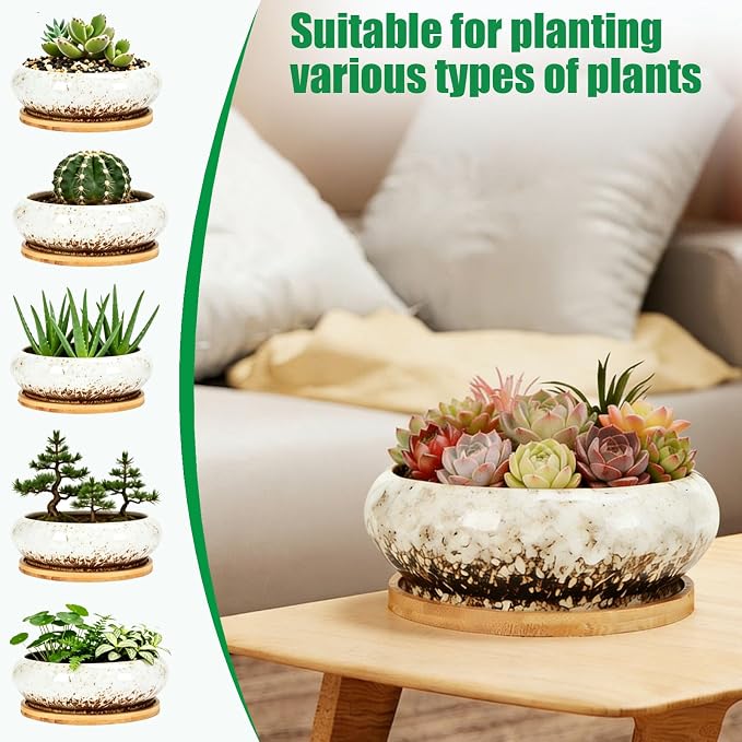 Drzewo Succulent Pots, Succulent Pots with Drainage & Bamboo Tray, 7-Inch Ceramic Drip Glazed Shallow Planter Container Bowl for Indoor Outdoor Plants, Decorative Garden Cactus Flower