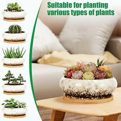 Drzewo Succulent Pots, Succulent Pots with Drainage & Bamboo Tray, 7-Inch Ceramic Drip Glazed Shallow Planter Container Bowl for Indoor Outdoor Plants, Decorative Garden Cactus Flower
