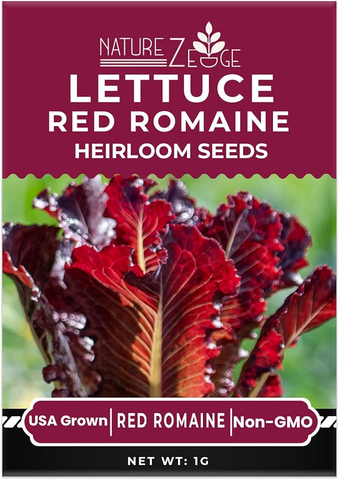 NatureZ Edge Lettuce Seeds for Planting, 4 Popular Varieties Non-GMO Heirloom Seeds, Red Romaine, Bibb Butter, Black Seeded Simpson, Green Ice Lettuce, Romaine, Salad Lettuce, Hydroponic Garden, USA