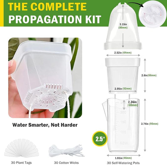 30 Pack 2.5" Self Watering Propagation Pots with Humidity Dome, Clear Plastic Seed Starter Cups, for Seedlings, Cuttings, Succulents, Herbs, Vegetables, with 30 Labels