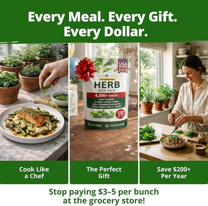 HOME GROWN Herb Seeds for Planting 15-Pack Massive Seed Count 4,300+ Seeds Non-GMO Heirloom | Extra Large | Culinary Herb Kit, Indoor Outdoor & Hydroponic | Grow Your Own Herbs | Gardening Gift